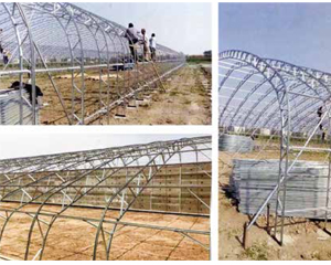 Tunnel Greenhouse