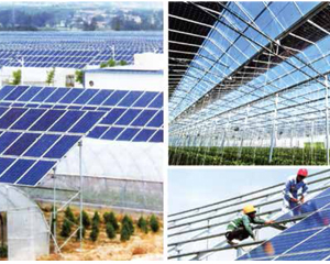 Solar Greenhouse